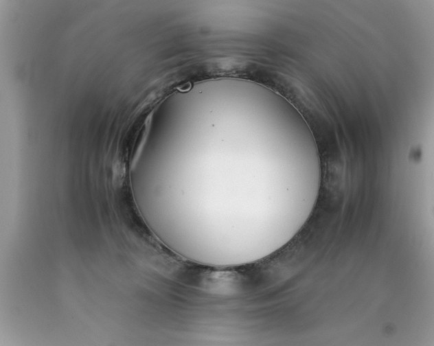 X0000090450324200707272221