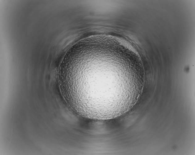 X0000090450325200707272221