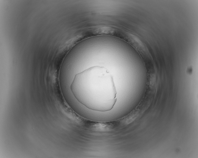 X0000090450326200707272221