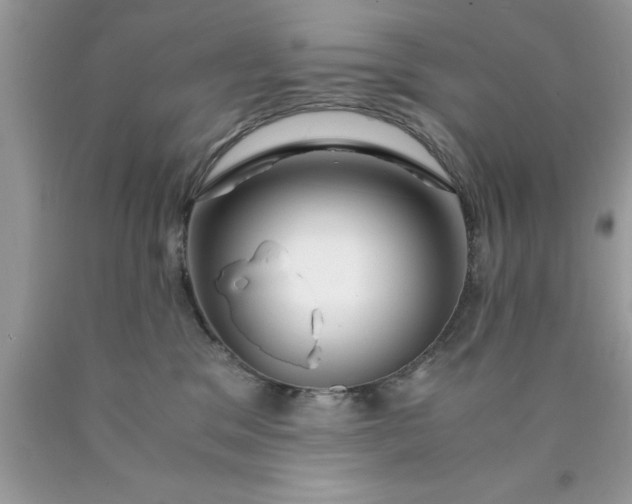 X0000090450329200707272221