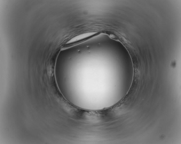 X0000090450331200707272221