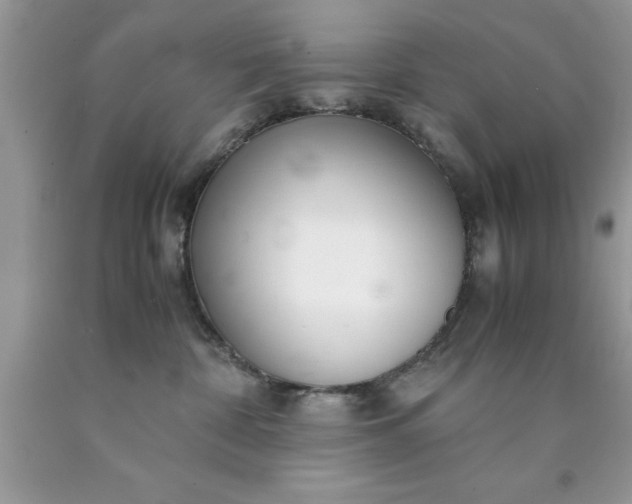 X0000090450332200707272221