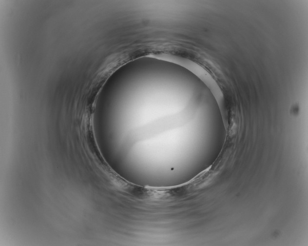 X0000090450333200707272221