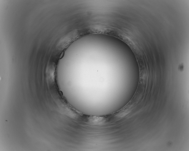 X0000090450334200707272221