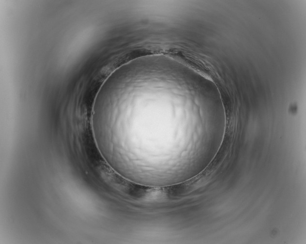 X0000090450335200707272221