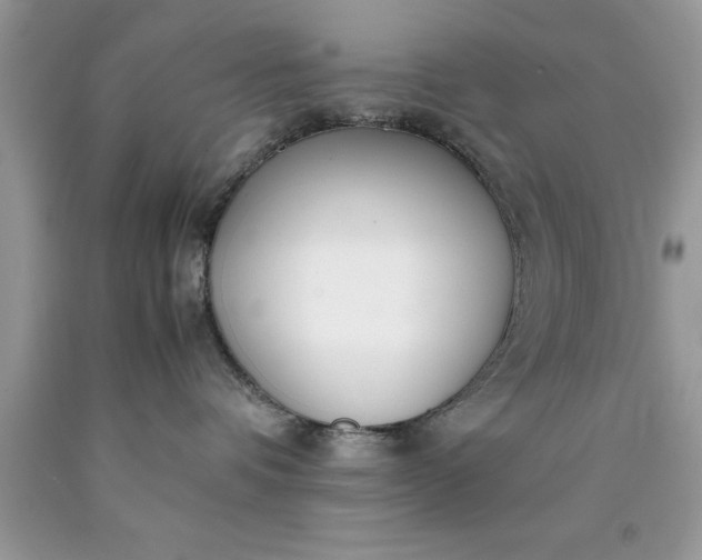 X0000090450336200707272221