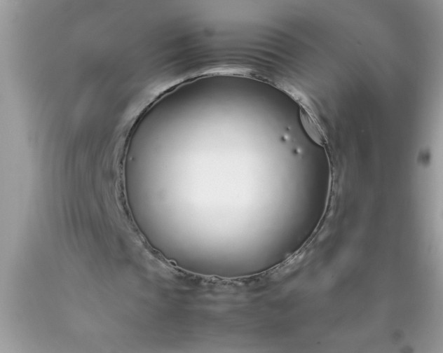 X0000090450337200707272220