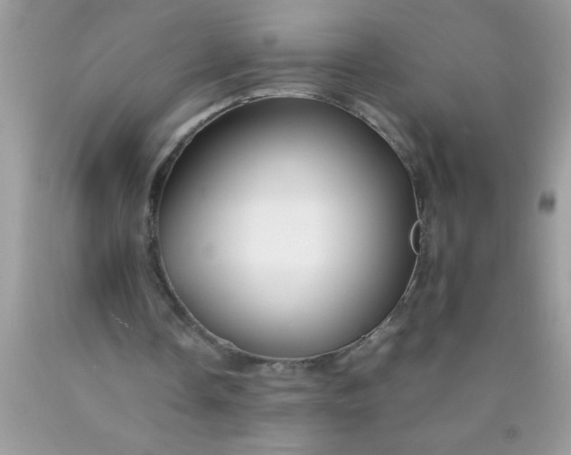 X0000090450338200707272220