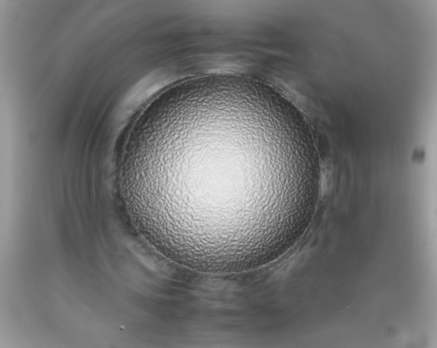 X0000090450339200707272220