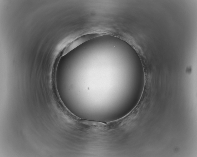 X0000090450340200707272220