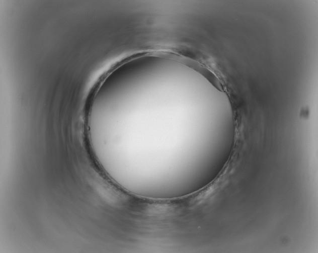 X0000090450342200707272220