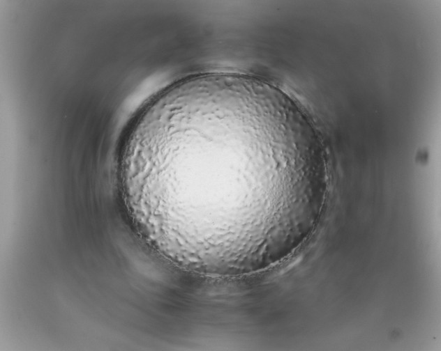 X0000090450343200707272220