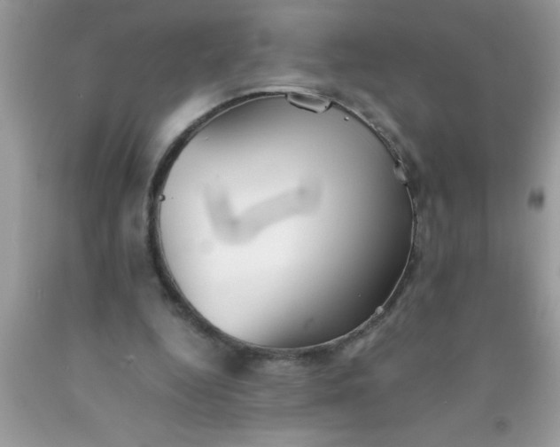 X0000090450344200707272220