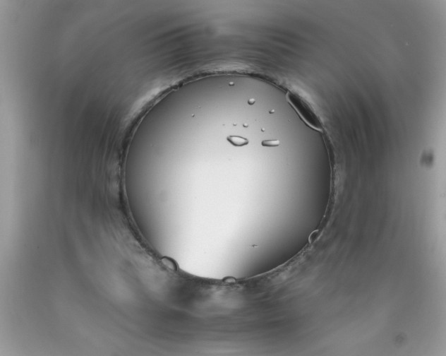 X0000090450345200707272220