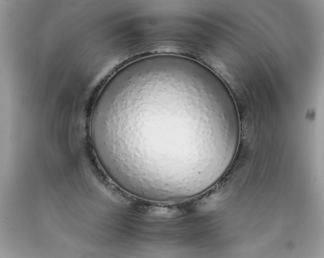 X0000090450347200707272220