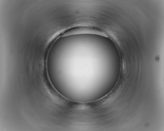 X0000090450348200707272220