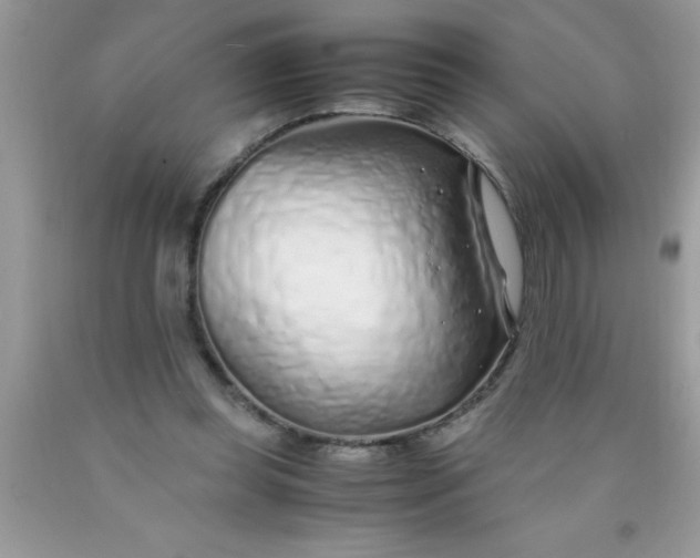 X0000090450349200707272220