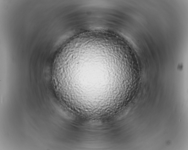 X0000090450353200707272220