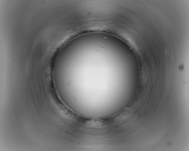 X0000090450354200707272220