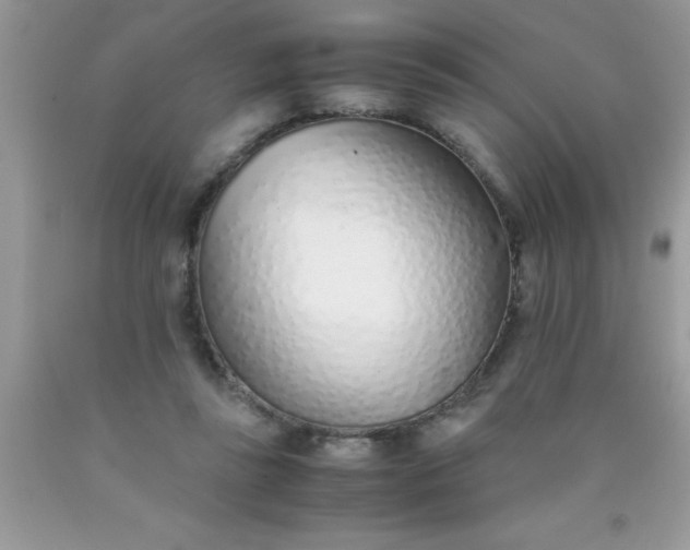 X0000090450355200707272220