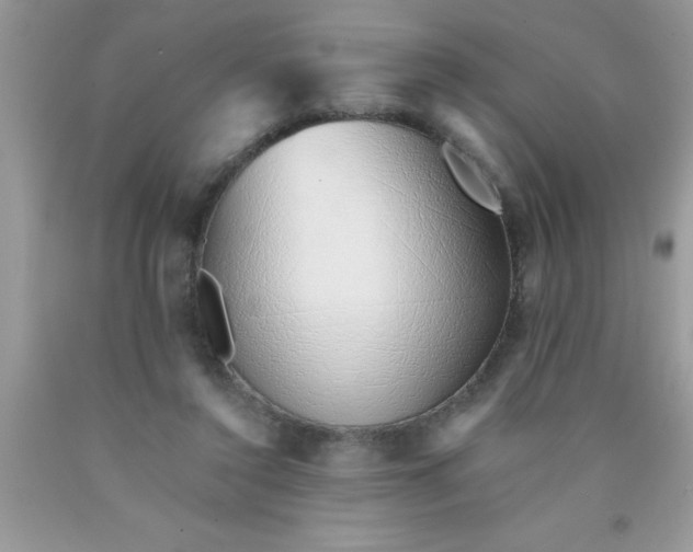 X0000090450356200707272220