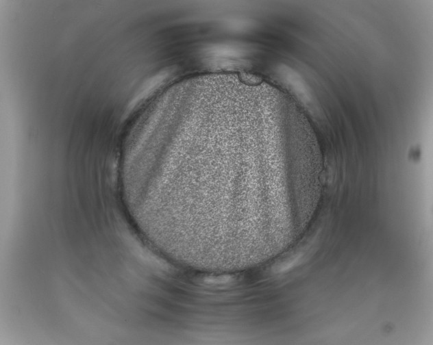 X0000090450357200707272220