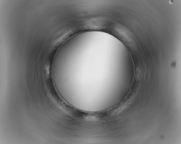 X0000090450358200707272220