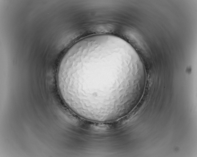 X0000090450359200707272220