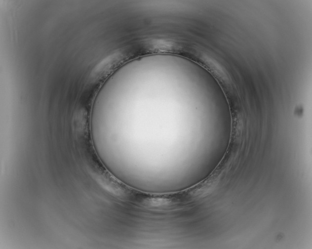 X0000090450361200707272220