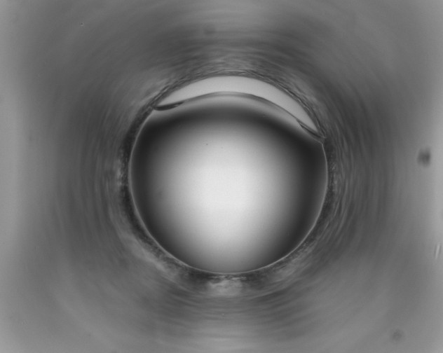 X0000090450362200707272220