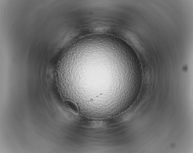 X0000090450363200707272220