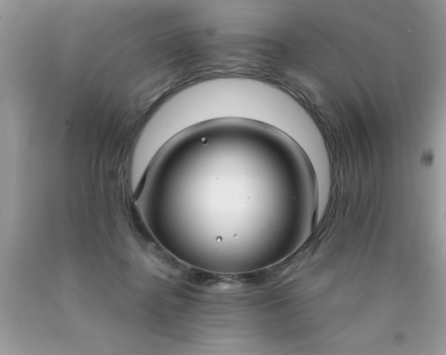 X0000090450364200707272220