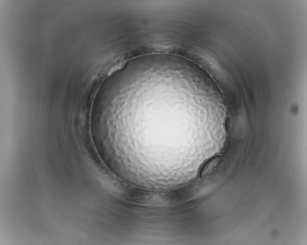 X0000090450365200707272220