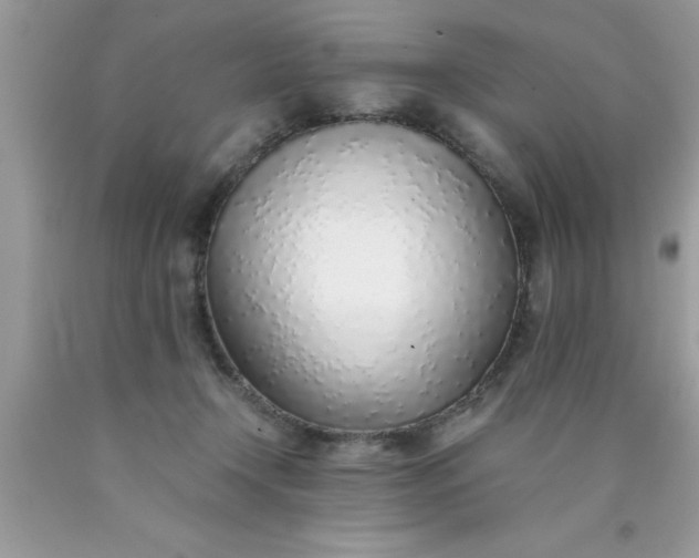 X0000090450366200707272220