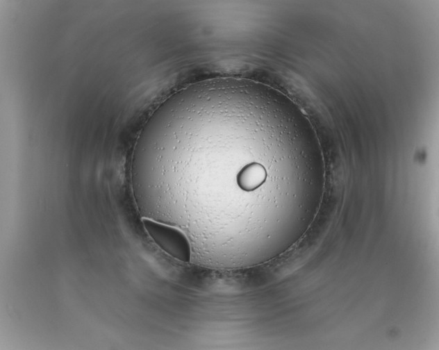 X0000090450368200707272221