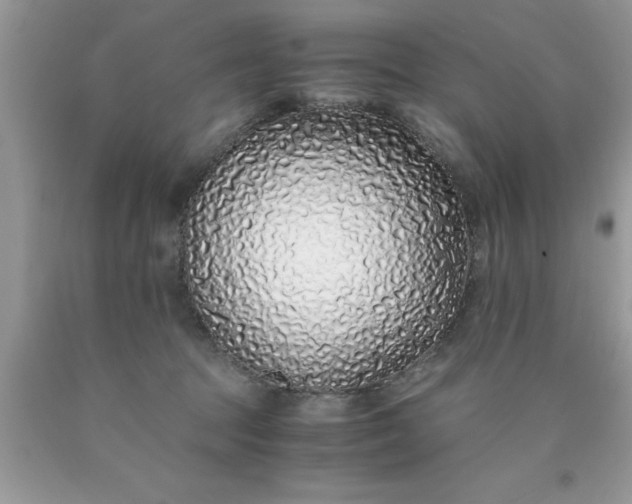 X0000090450369200707272221