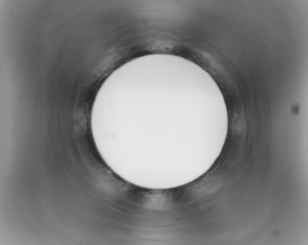 X0000090450370200707272221