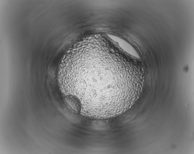 X0000090450373200707272221