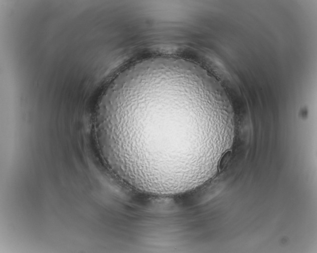 X0000090450374200707272221