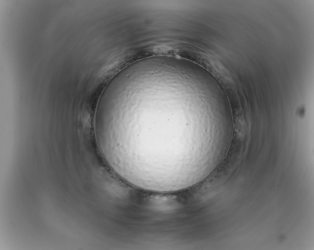 X0000090450375200707272221