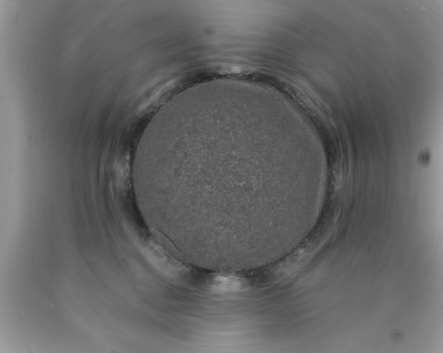 X0000090450376200707272221