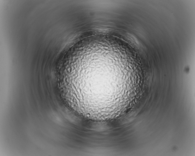 X0000090450377200707272221