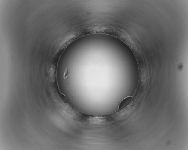 X0000090450378200707272221