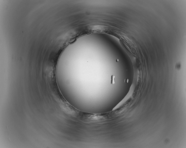 X0000090450379200707272221