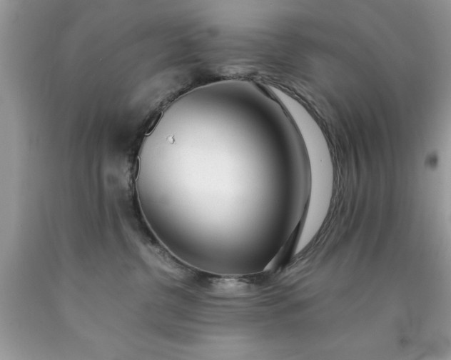 X0000090450380200707272221