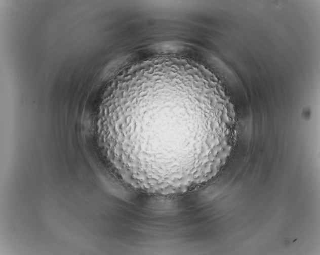 X0000090450381200707272221