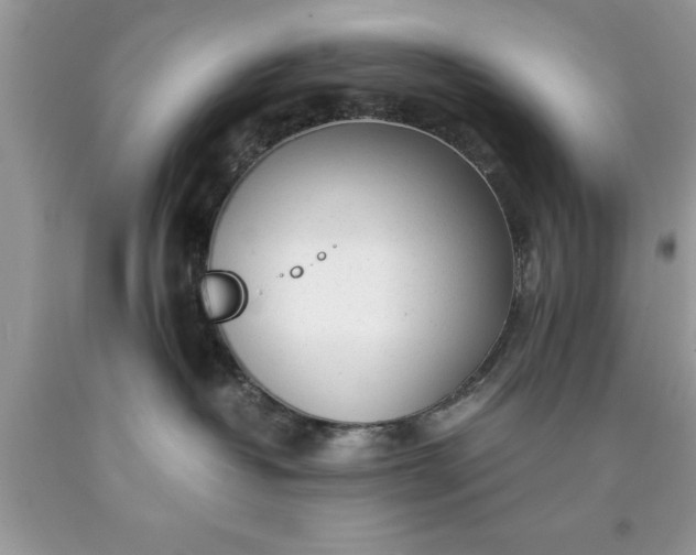 X0000090450382200707272221