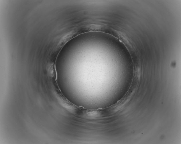 X0000090450383200707272221