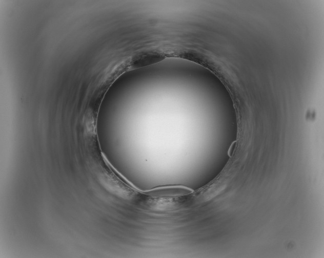 X0000090450384200707272221