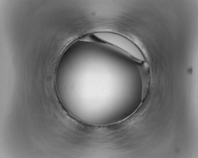 X0000090450385200707272220